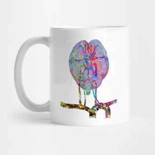 Brain and brainstem Mug